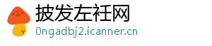 披发左衽网